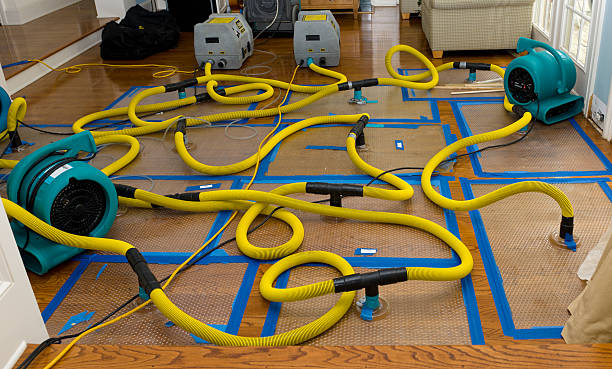 Professional Structural Drying And Dehumidification technician working in Shelton, CT
